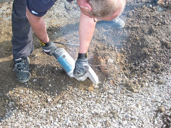 Arbeitseinsatz 4.5.13IMG 1454